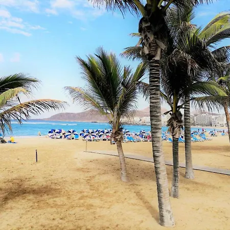Cosy Flat In The Heart Of Palmas 38 M² Fast Internet *